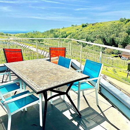 Appartement Domaine BOHN Blue Winehouse à Reichsfeld Extérieur photo