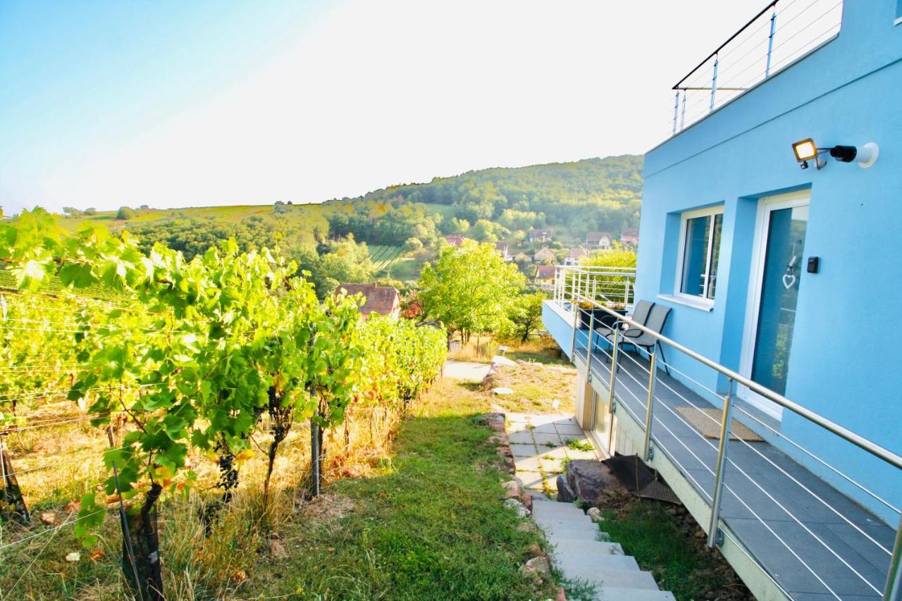 Appartement Domaine BOHN Blue Winehouse à Reichsfeld Extérieur photo