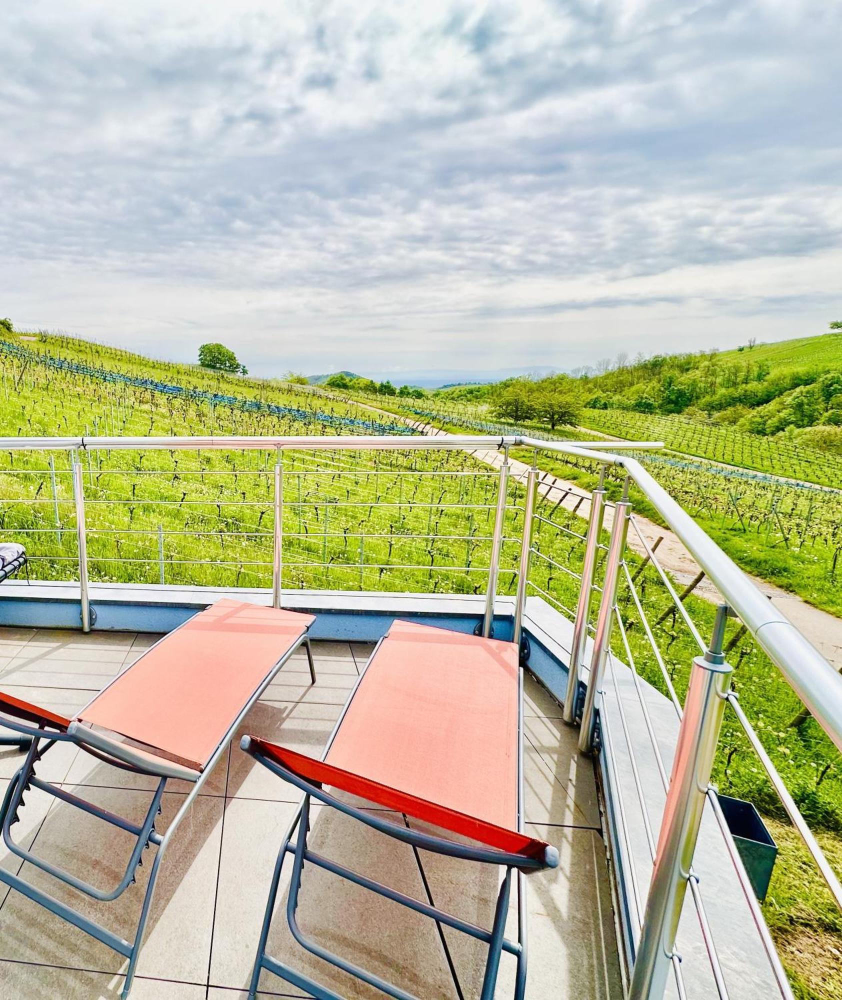 Appartement Domaine BOHN Blue Winehouse à Reichsfeld Extérieur photo