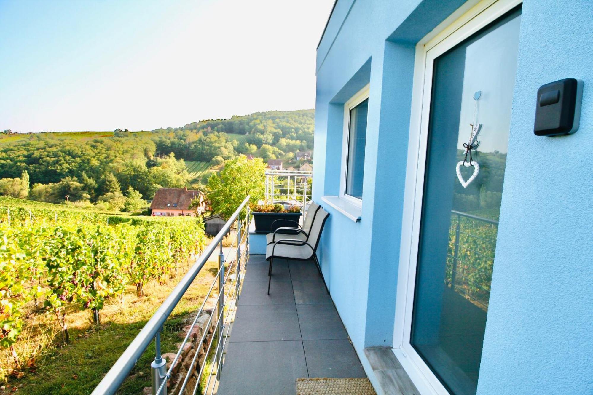 Appartement Domaine BOHN Blue Winehouse à Reichsfeld Extérieur photo